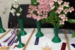 Willie-Harvie-2026-06-07-FlowerShow-Flowering-Dogwood-Div-36-37