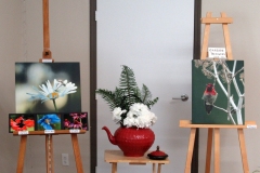 Willie-Harvie-2026-06-07-FlowerShow-Photo-teapot-display
