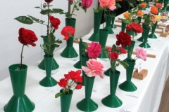 Willie-Harvie-2026-06-07-FlowerShow-Rose-class
