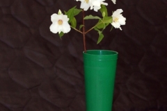 Willie-Harvie-2026-06-07-FlowerShow-Sherry-Deptuchs-Best-Flowering-Exhibit