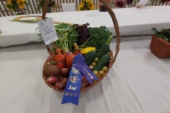 2020-09-06-UN-Fair-Junior-Bounty-from-garden-basket