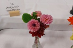 2020-09-06-UN-Fair-flowers-dahlias-light-pink