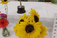 2020-09-06-UN-Fair-flowers-fresh-Junior-sunflowers