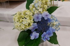 2020-09-06-UN-Fair-flowers-fresh-hydrangeas-blue