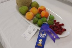 2020-09-06-UN-Fair-fruit-platter